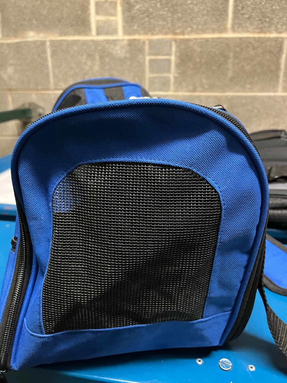 Southwest Blue Pet Travel Carrier - Blue with Black Accents - Picture 5 of 6